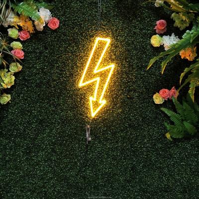 China Buildings OEM China Factory 12v DC Panel Lightning Bolt Neon Sign Acrylic Thunder Cable Led Neon Lamp for sale