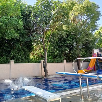 China Hot 1 meter swimming pool diving board for sale 4 hole bolt screw tower / diving board for sale