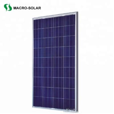 China 150W 155W 160W 165W 170W 175W 180W Fotowoltaika MS-P 150(36) High Quality Poly PV Solar Panels | MS-P 180(36) for sale