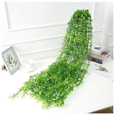 China Real Artificial Plants Leaves Leaves Eucalyptus Wall Hanging Wedding Banquet Table Background Decorative Plants for sale