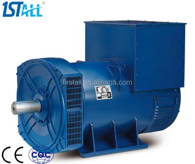 China Make Electric 250w Brushless Generator for sale