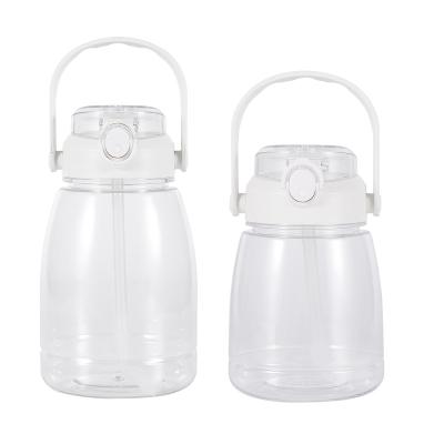 China Sustainable Hot Selling Travel Sport Water Bottle With Handle for sale