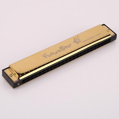 China 24 Hole Steel Tremolo Harmonicas with Black Case for Beginner and Student for sale