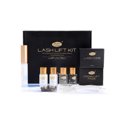 China Fast Perm Drop Shipping Hot Sale Eye Lash Lift Set Lash Lifting Kit Fast Perm Kit for sale