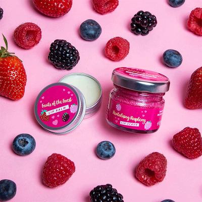 China Waterproof Wholesale Cute Fruit Strawberry Lip Scrub and Organic Lip Balm Set (New) for Lip Care for sale