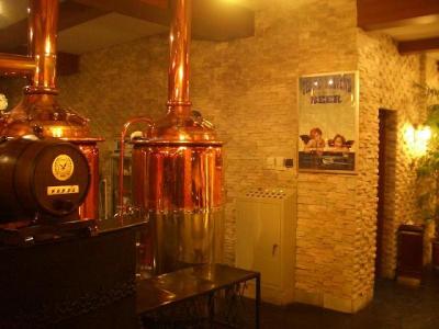 China copper beer brewing equipment, mash tun, lauter tun for hotel , pub, resturant for sale