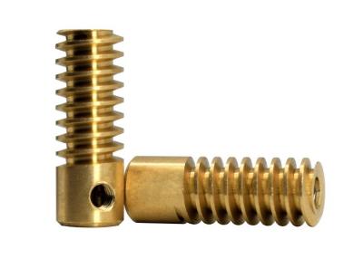 China CNC Machining Brass Worm Gear Screw Type1 Lead 0.5 Module AGMA 7 for sale