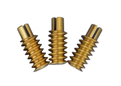 China Brass Cnc Worm Gear 120mm Length 1 Lead 0.5 Module For Gear Motor  ISO/ 7 for sale