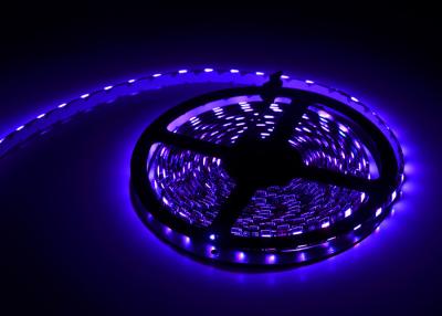 China Decorative Lights RGBWW Flexible LED Strip Lights 12V Full Color Samsung 5050 for sale