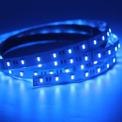 China TV Back light Garden Yard Decoration 5050 RGB LED Strip 5m/roll for sale