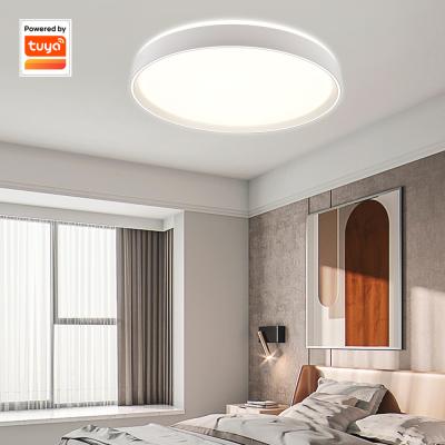 China Modern Lendian CCT Adjustable Flat Aluminum Frame PMMA Shade Round Shape WIFI Indoor Home Lights Led Mount Outdoor Ceiling Lamp for sale