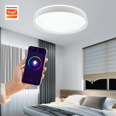 China European Style Tuya High Lumen Surface Mount Smart Round Outdoor Mounted Smart Light Fixture Led Ceiling Lamp For Home Ceiling Light for sale