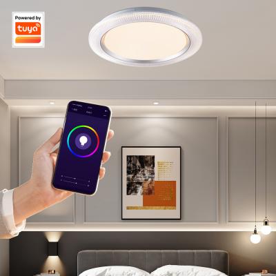 China Custom Smart Wifi Modern Living Room Decor Outdoor Ceiling Mount Outdoor Home Lighting Remote Control Room Led Ceiling Lamp for sale