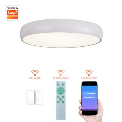 China Modern Smart Wifi Control RGB Surface Mounted 40w / 60w / 80w Ceiling Led Light Fixture for sale