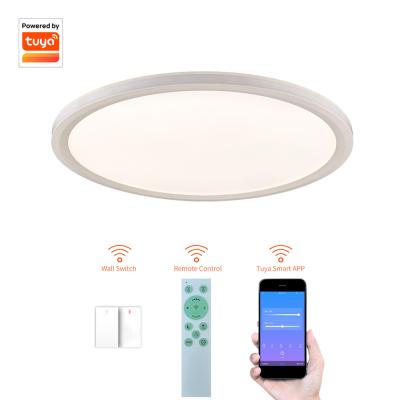 China Modern cheap dimmable ultra thin panel light tuya smart price ceiling light for sale