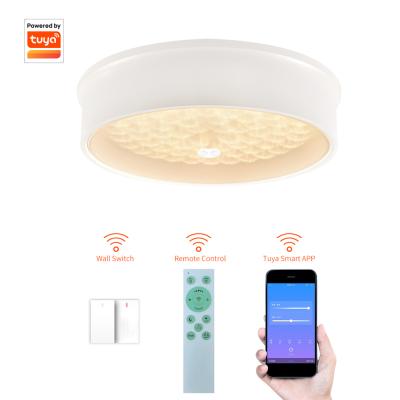 China Surface Mounted Jellyfish Effect Decor Lights Room Light Modern Smart Ceiling for sale