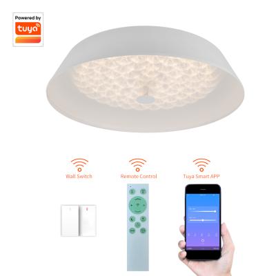 China Cheap Price Surface Mounted Remote Control RGB Multi Color Led Ceiling Light for sale