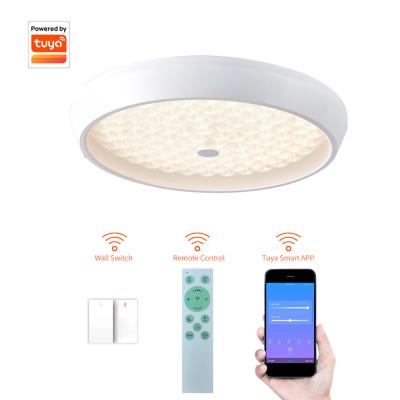 China Dimmable Modern Room Lights Ring Tuya App Panel Ceiling Mounted Modern Ceiling for sale