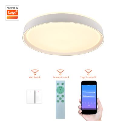 China Amazon Success 2021 Modern Led Outdoor Ceiling Mounted Lamp For Home for sale