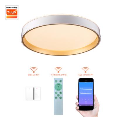 China Surface Mounted Bedroom Fixtures Decor Ceiling Lamp Smart Light Fixture for sale