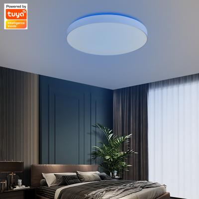 China Modern Bedroom Ceiling Circle Lamp With RGB Decoration Light for sale