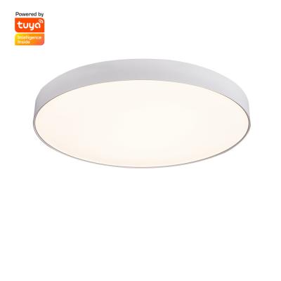 China Modern Surface Mounted Ceiling Light Led Large Round Dome Ceiling Lamp for sale