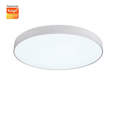 China Outdoor Mounted Bedroom Light Fixture Led Modern Ceiling Lamp for sale