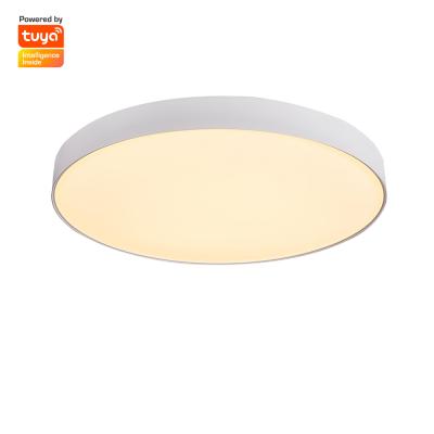 China Surface Mounted Bedroom Cheap Design Price Decorative Ceiling Lamps for sale