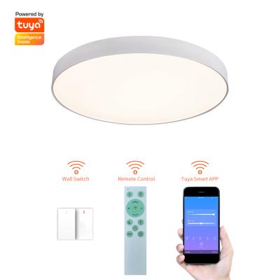 China Outdoor IP20 Surface Mounted Indoor Lighting Ceiling Led Lights For Home Ceiling Lamps for sale