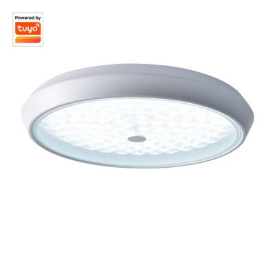 China Outdoor Mounted RGB Decoration Smart Home Bathroom Led Round Panel Ceiling Lamp for sale