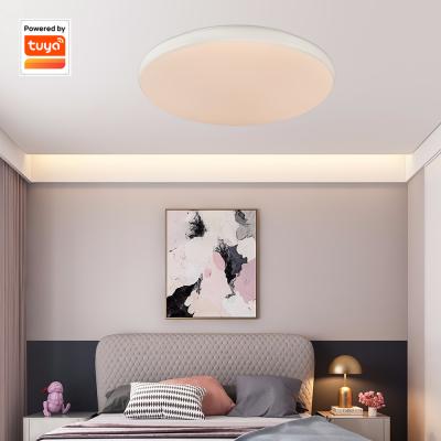 China Lendian Outdoor Mounted Newest Lamp Ceiling Cold Surface Mounted Smd Led Ceiling Light Home for sale