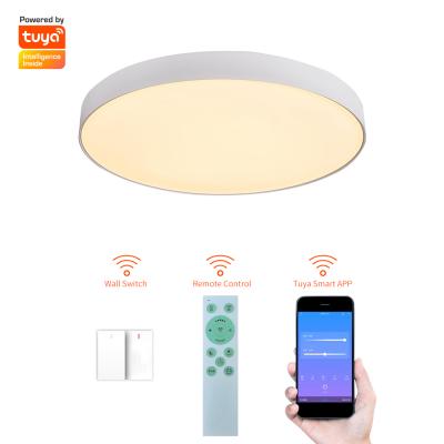 China Dimmable Modern Kids Bedroom Round RGB White Led Ceiling Light for sale