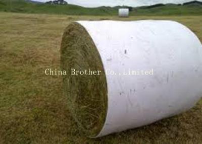 China Coated HDPE / PP Woven Fabric White Color Moisture Proof For Building for sale