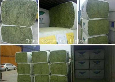 China Agricultural Tubular Woven Polypropylene Roll Wrapping Hay Bales In Plastic for sale