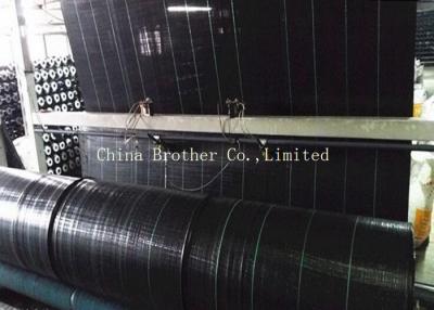 China Agriculture HDPE / PP Woven Ground Cover Fabric In Roll 100gsm for sale