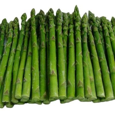 China IQF FROZEN Quick Freeze Asparagus Whole Fresh Asparagus for sale