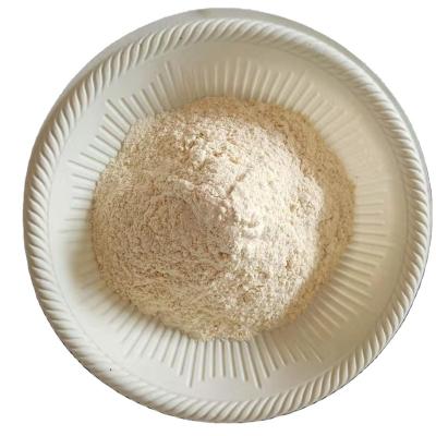 China Dry Dehydrated Air Dried Chinese Lemon Powder for sale