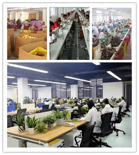 Verified China supplier - Shenzhen Headway Electronic Commerce Co., Ltd.