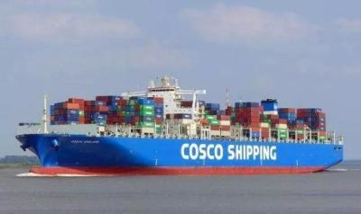 China Economic Friendly LCL Shipping Service From Qingdao To Koper for sale