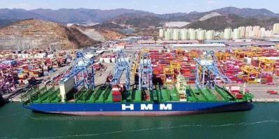 China Reliable International Sea Freight Shipping Freight Cargo To Norway By Sea for sale