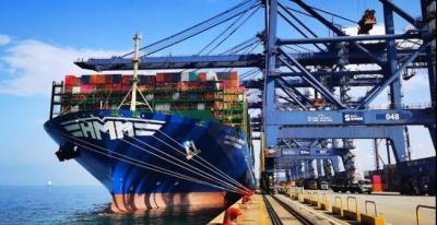 China Fast Delivery International Shipping Agency In Chian To Port Said for sale