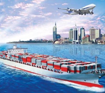 China Transporte del TRANSBORDO RODADO de la carga de mar de los clientes de la importación y de exportación de Qingdao a Viena en venta