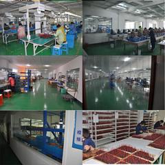 Verified China supplier - Yixing Zhongrui Electronic Technology Co., Ltd.