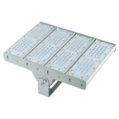 China Youwin 200W Dimmable indoor factory price led light LED flood light for sale