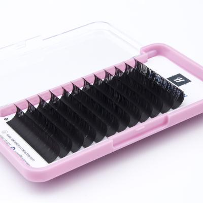 China Different Classic New Classic Eyelashes Ellipse Tapered Eyelash Extension Professional Salon Ultra Light Soft Super Matte Flat Lash Extensions for sale