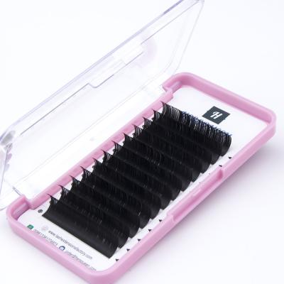 China 0.20 Different Natural Light Weight Eyelash Extensions Plus New Classic 3D Lash Extensions One Lashing Single Eyelashes for sale