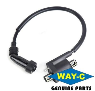 China Motorcycle Moto Ignition Coil Assy 1BK-H2310-00 For YAMAHA YBR125 for sale