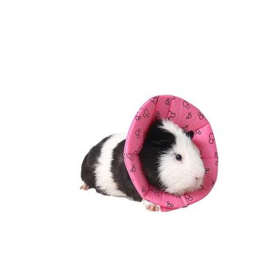 China Manufacturer Direct Sale Adjustable Hamster Viable Pet Guinea Pig Collar Small Protective Circle for sale