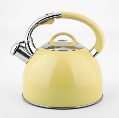 China Viable High Quality Home Kitchen Teapot Stainless Steel Whistling Kettle With Color Painting for sale