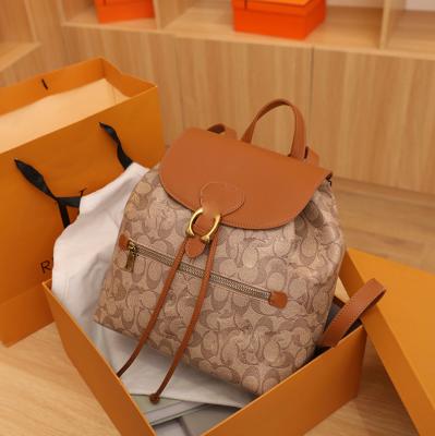 China Other Designer Lady Autumn and Winter Women's Shoulder Dust Bags Backpack Handbag Luxury from Alibaba-online-shopping one for women for sale